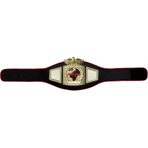 PROEAGLE GOLD CUSTOM CHAMPIONSHIP BELT **HEAVY DESIGN**